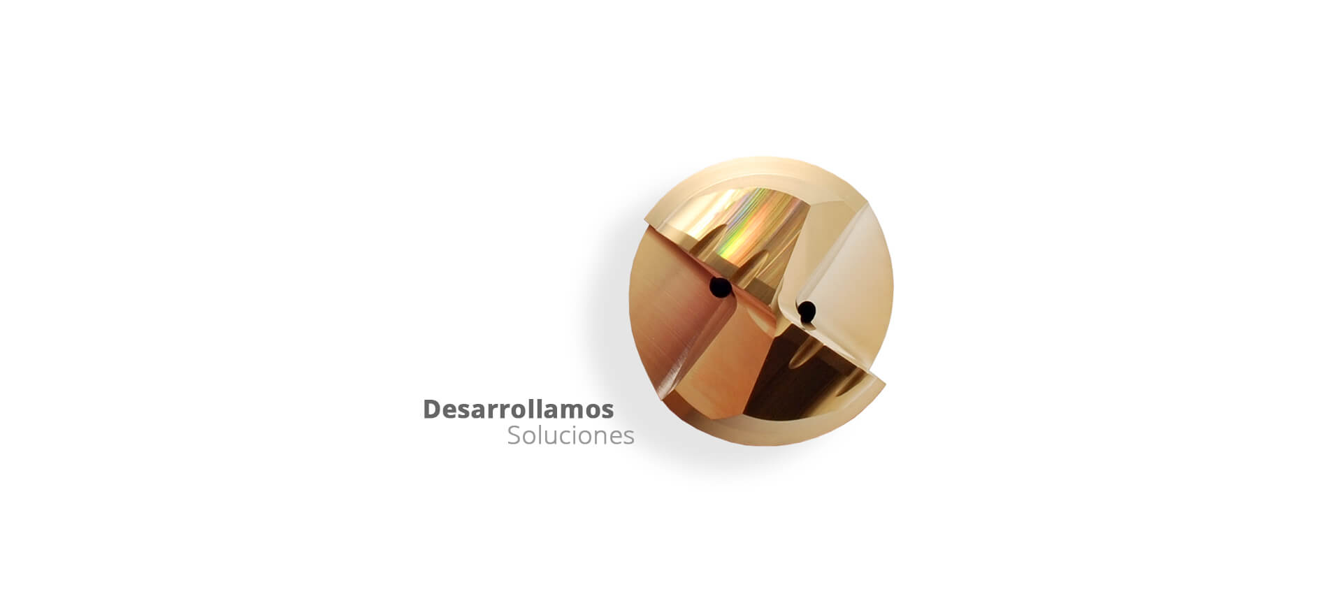 Desarrollamos Soluciones